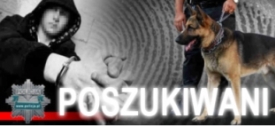 Poszukiwani
