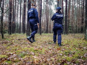 policjanci chodzą po lesie