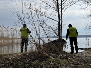 policjanci wspólnie ze strażakami szukają zaginionej na terenie leśnym