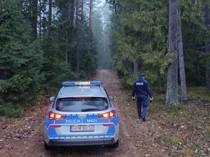 policjanci szukają w lesie zaginionych