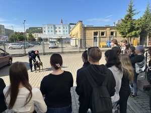 Młodzież ogląda pokaz tresury psa.