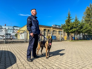 Przewodnik z psem.
